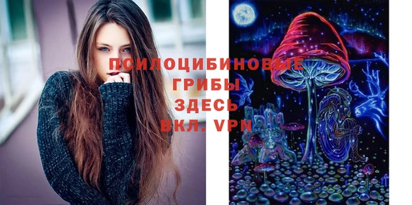 гидропоника Магадан