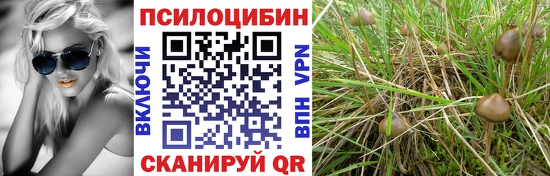 Псилоцибиновые грибы мухоморы  Мамадыш 